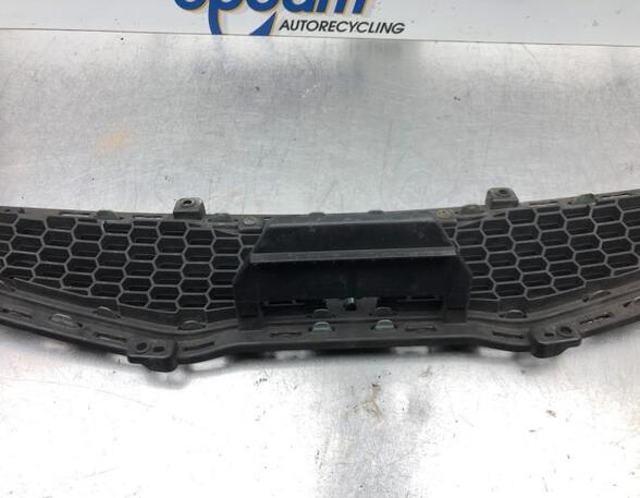 Radiator Grille KIA PICANTO (TA), KIA PICANTO (JA)