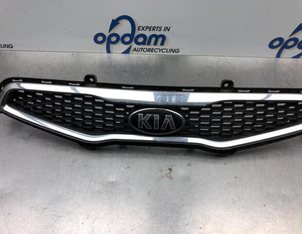 Radiator Grille KIA PICANTO (TA), KIA PICANTO (JA)