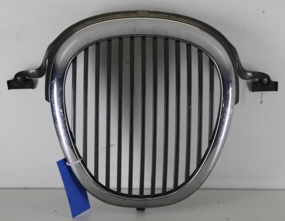 Radiator Grille JAGUAR S-TYPE (X200)