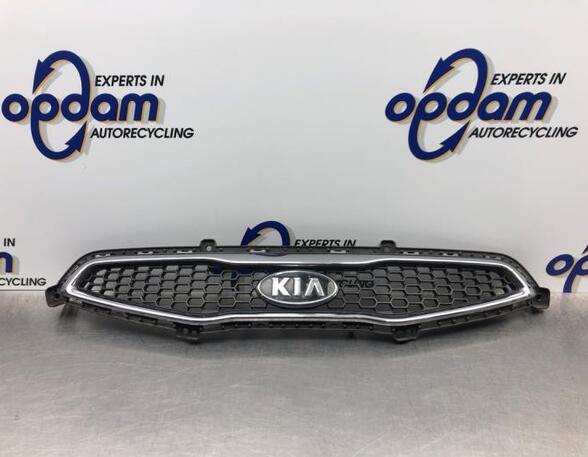 Radiator Grille KIA PICANTO (TA), KIA PICANTO (JA)