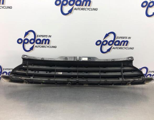 Radiator Grille MINI MINI (R56)