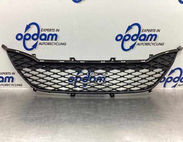 Bumper Ventilation Grille HYUNDAI i10 (PA)