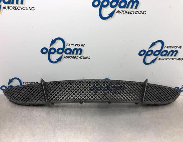 Ventilatiegrille bumper BMW 1 (E87), BMW 1 (E81), BMW 1 Coupe (E82)