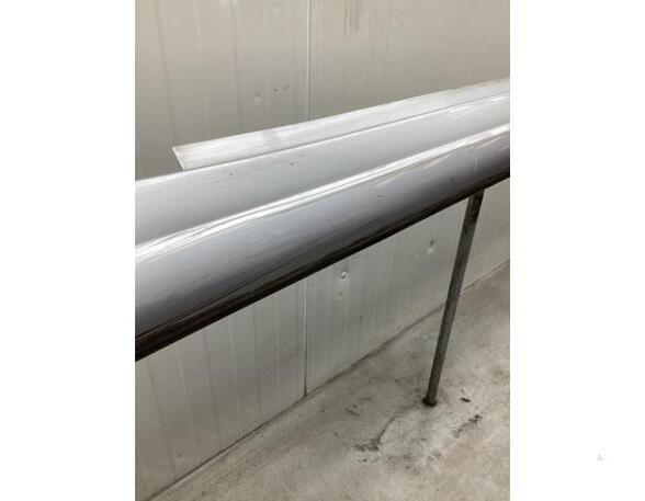 Sill Trim MERCEDES-BENZ B-CLASS (W245)