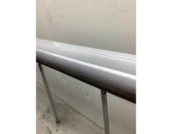 Sill Trim MERCEDES-BENZ B-CLASS (W245)