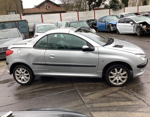 Wing PEUGEOT 206 CC (2D)