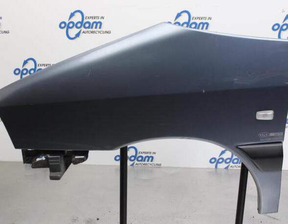 Spatbord FIAT SCUDO Van (220_), FIAT SCUDO Platform/Chassis (220_)