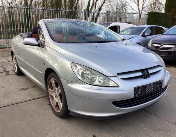 Wing PEUGEOT 307 CC (3B)