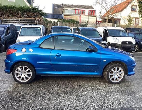 Wing PEUGEOT 206 CC (2D)