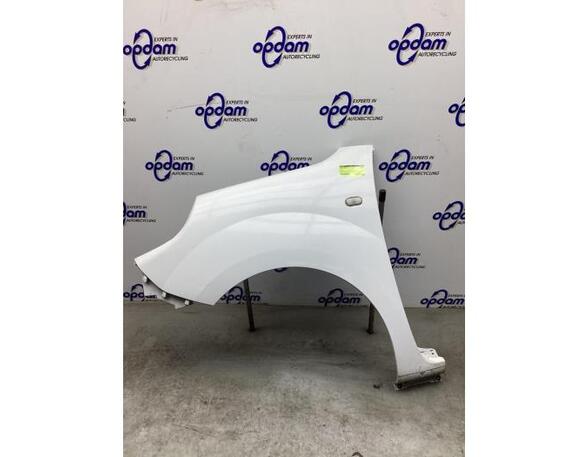 Spatbord RENAULT KANGOO Express (FW0/1_), RENAULT KANGOO / GRAND KANGOO (KW0/1_)