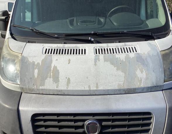 Bonnet FIAT DUCATO Bus (250_, 290_), FIAT DUCATO Van (250_, 290_)