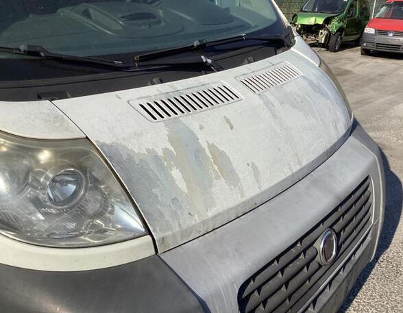 Bonnet FIAT DUCATO Bus (250_, 290_), FIAT DUCATO Van (250_, 290_)