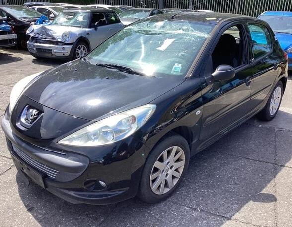 Bonnet PEUGEOT 206+ (2L_, 2M_)