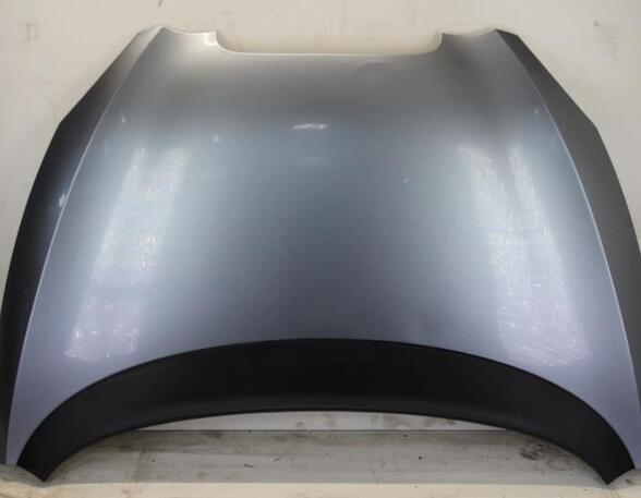 Motorhaube Seat Toledo III 5P 5P0823031C P12010330