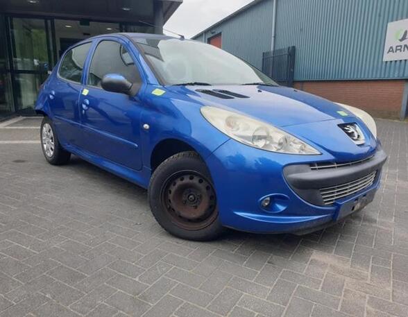 Bonnet PEUGEOT 206+ (2L_, 2M_)