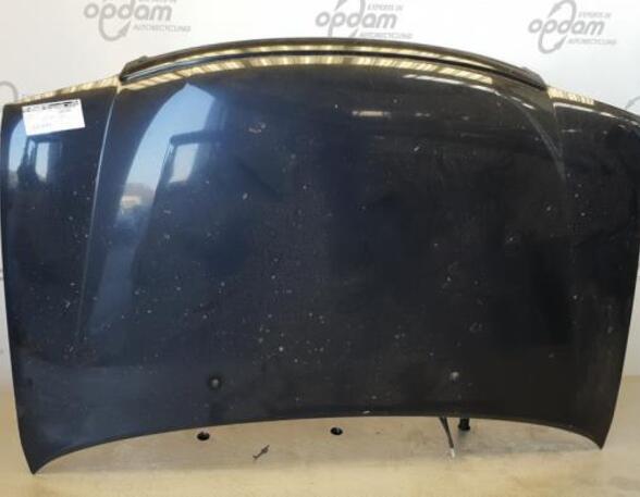 Motorhaube Daihatsu Terios J1 XXXXX P10310214