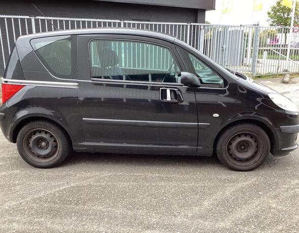 Sliding Door PEUGEOT 1007 (KM_)