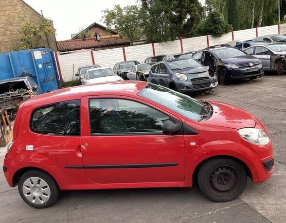 Door RENAULT TWINGO II (CN0_)