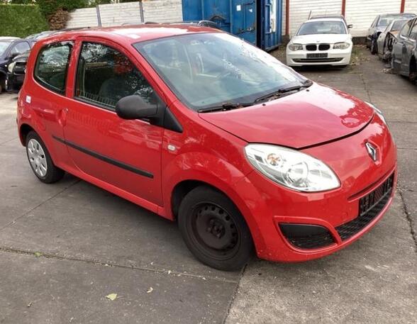 Door RENAULT TWINGO II (CN0_)