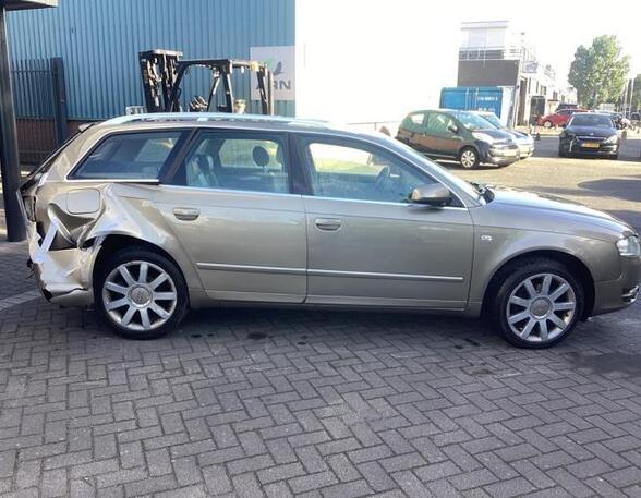 Door AUDI A4 Avant (8ED, B7), AUDI A4 Avant (8E5, B6)