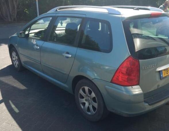 Door PEUGEOT 307 Break (3E), PEUGEOT 307 SW (3H)