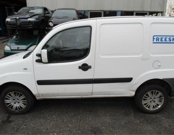 Door FIAT DOBLO Box Body/MPV (223_), FIAT DOBLO MPV (119_, 223_)