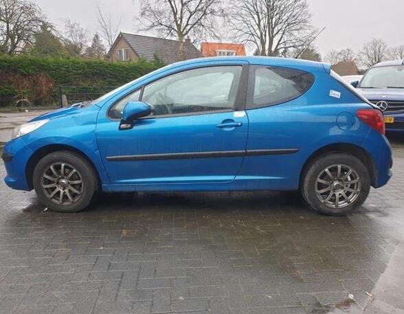 Door PEUGEOT 207 (WA_, WC_)