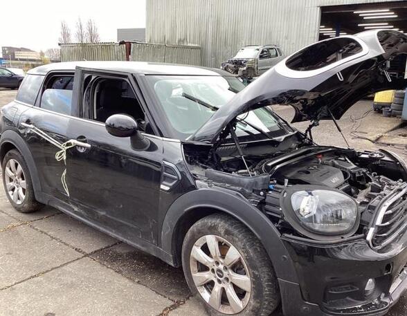 Door MINI MINI COUNTRYMAN (F60)