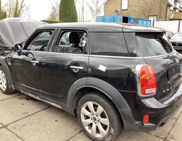 Door MINI MINI COUNTRYMAN (F60)