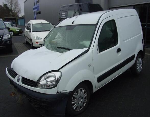 Deur RENAULT KANGOO (KC0/1_)