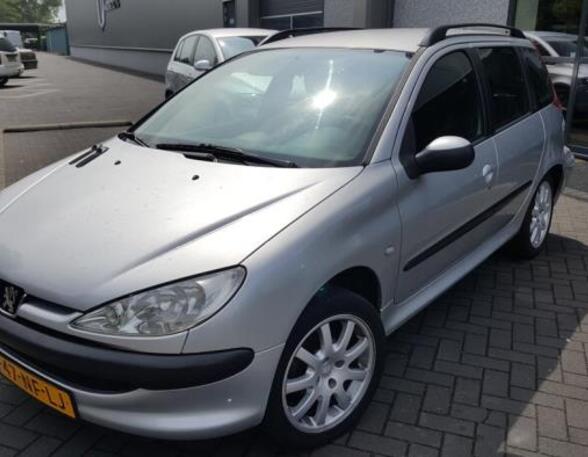 Deur PEUGEOT 206 SW (2E/K)