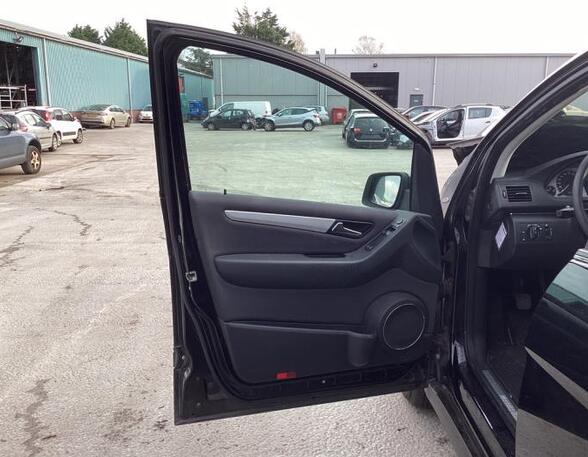 Door MERCEDES-BENZ B-CLASS (W245)