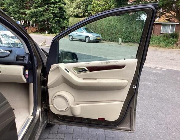 Door MERCEDES-BENZ A-CLASS (W169)