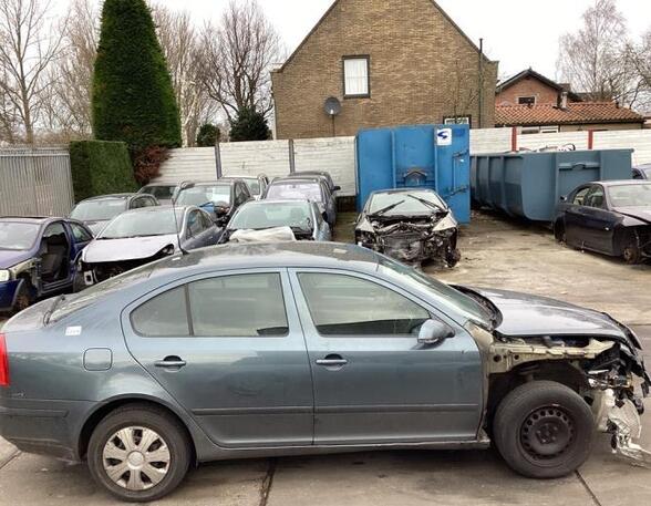 Tür rechts hinten Skoda Octavia II 1Z 1Z0839656 P18527001