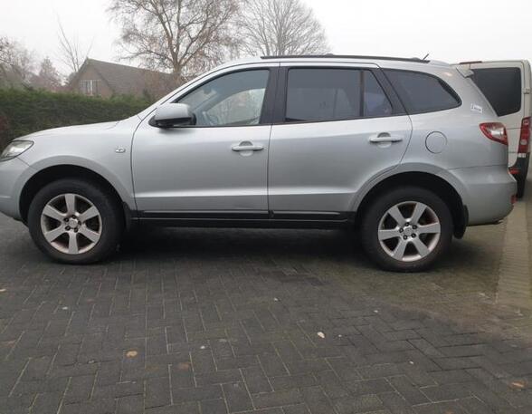 Door HYUNDAI SANTA FÉ II (CM), HYUNDAI GETZ (TB)