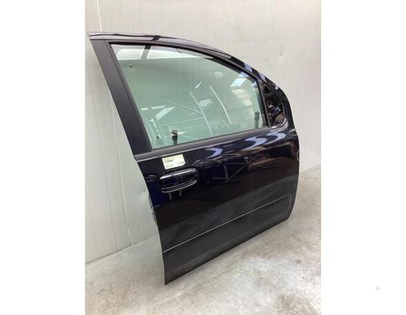 Door FIAT PANDA (312_, 319_), FIAT PANDA VAN (312_, 519_), LANCIA YPSILON (312_)