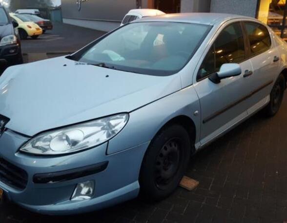 Door PEUGEOT 407 (6D_), PEUGEOT 407 Coupe (6C_)