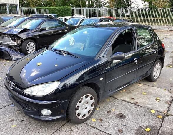 Deur PEUGEOT 206 Hatchback (2A/C), PEUGEOT 206 Saloon, PEUGEOT 206 SW (2E/K)