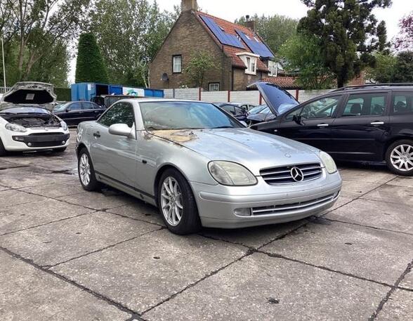 Door MERCEDES-BENZ SLK (R170)