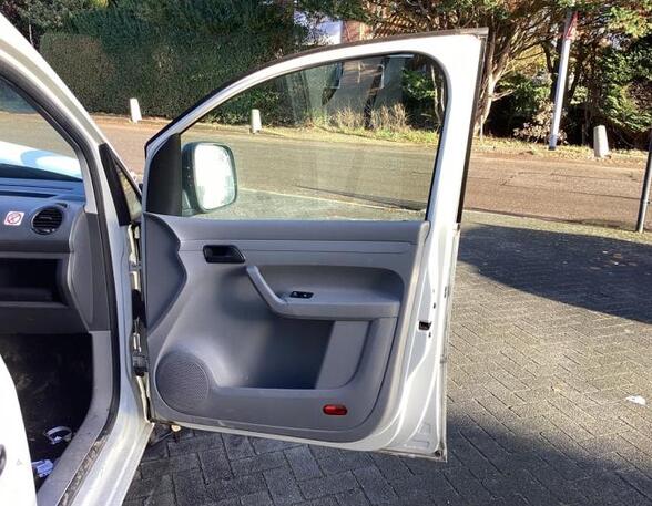 Door VW CADDY III Box Body/MPV (2KA, 2KH, 2CA, 2CH)