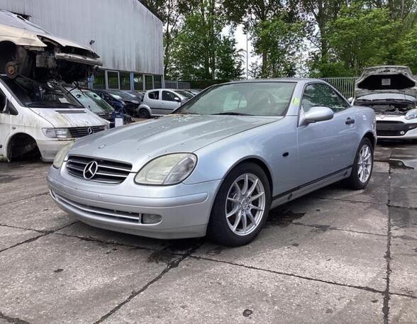 Door MERCEDES-BENZ SLK (R170)