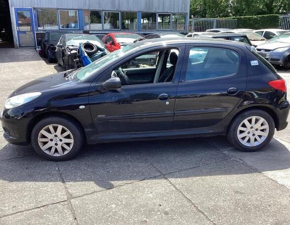 Door PEUGEOT 206+ (2L_, 2M_)