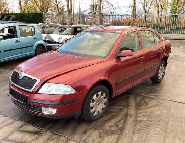 Deur SKODA OCTAVIA II (1Z3)