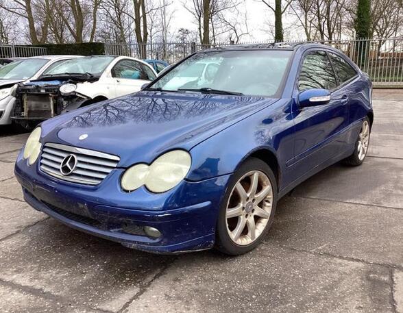 Door MERCEDES-BENZ C-CLASS Coupe (CL203)