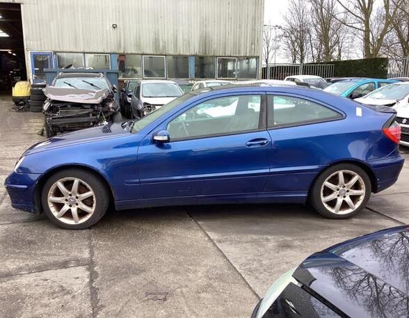 Door MERCEDES-BENZ C-CLASS Coupe (CL203)