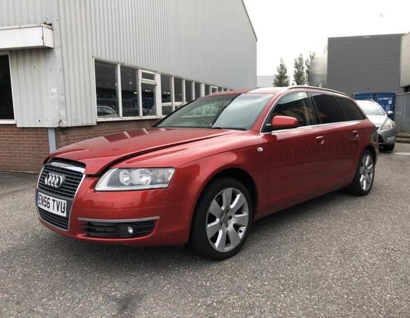 Deur AUDI A6 Avant (4F5, C6), AUDI A6 Allroad (4FH, C6)