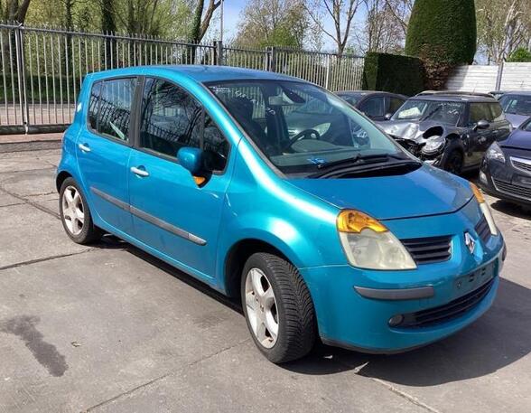 Door RENAULT MODUS / GRAND MODUS (F/JP0_)