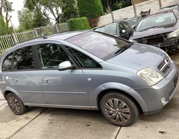 Deur OPEL MERIVA A MPV (X03)