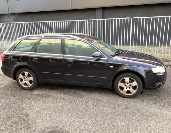 Door AUDI A4 Avant (8ED, B7), AUDI A4 Avant (8E5, B6)