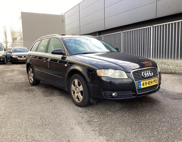 Door AUDI A4 Avant (8ED, B7), AUDI A4 Avant (8E5, B6)